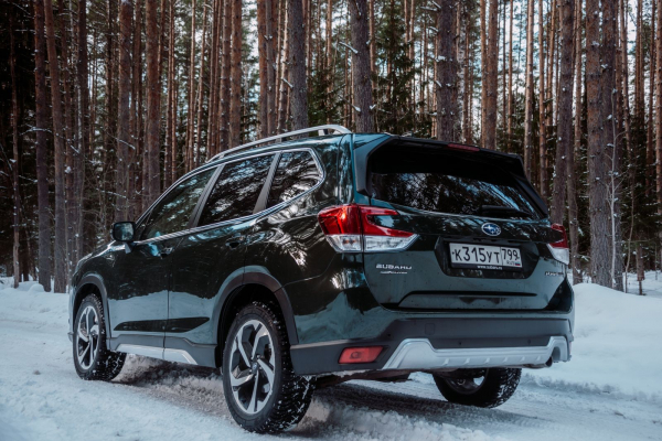 Джентльмен в лесу: зимний тест-драйв Subaru Forester SK